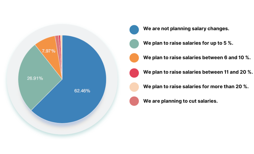 Graph: What changes in monthly gross salaries are planned by employers in H2 2024?