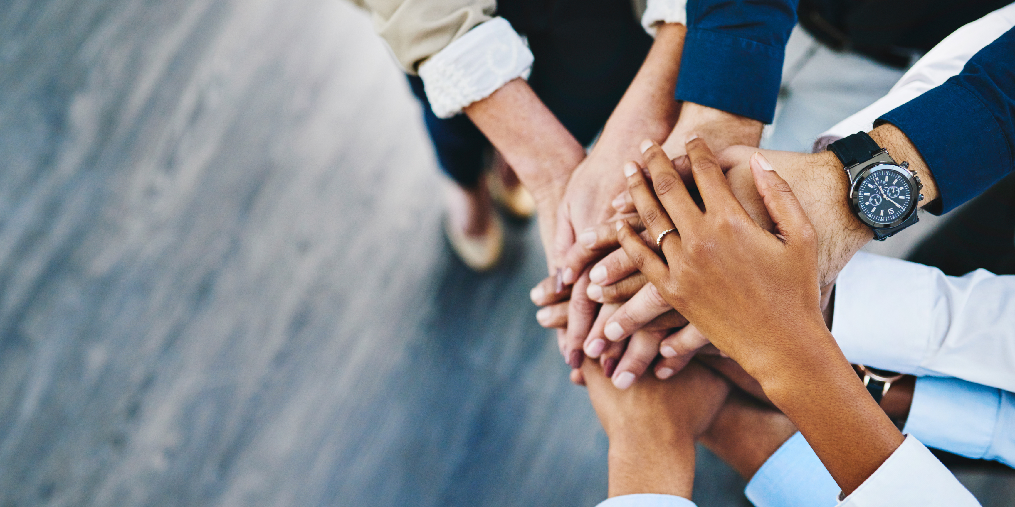 Vpliv transparentnosti na uspešnost organizacije